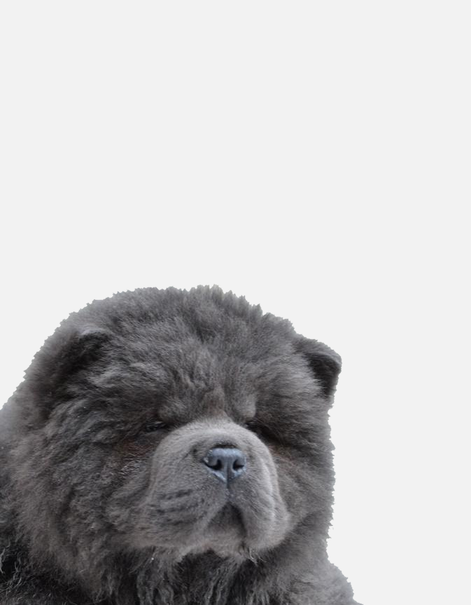 Rabattgutschein für die erste Bestellung