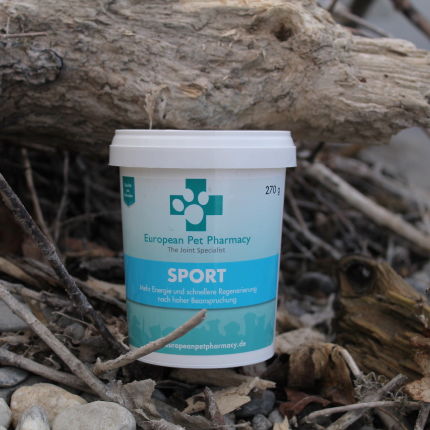 Sport - Mehr Energie