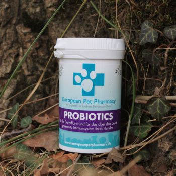 Probiotics - Stärkung der Darmflora