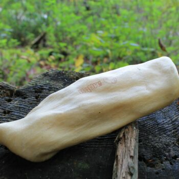 Elch 18-22cm - Kauknochen