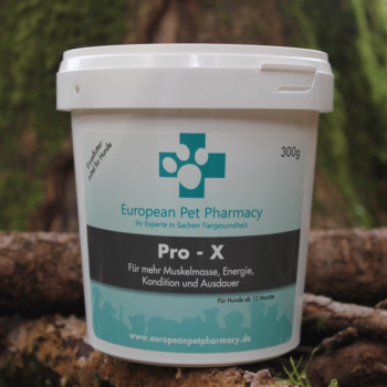 Pro X - Muskelaufbau Insektenprotein