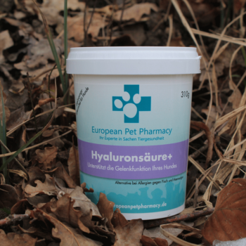 Hyaluronsäure - Gelenkbeschwerden