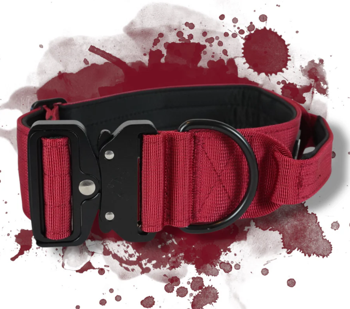 BACO Hundehalsband 2.0 – Hochwertige Materialien, maximale Sicherheit und Komfort für deinen Vierbeiner. Mit robustem Nylon, verstärktem D-Ring und einem praktischen Handgriff für zusätzliche Kontrolle.