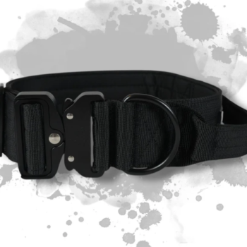 BACO Hundehalsband 2.0 – Hochwertige Materialien, maximale Sicherheit und Komfort für deinen Vierbeiner. Mit robustem Nylon, verstärktem D-Ring und einem praktischen Handgriff für zusätzliche Kontrolle.