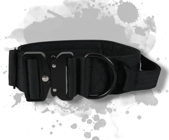 Hundehalsband mit Griff - BACO 2.0