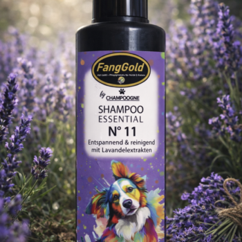 FangGold Shampoo Essential No. 11 Professionelles Hundeshampoo mit beruhigendem Lavendel für gründliche, schonende Reinigung aller Fellarten. Biologisch abbaubar, hochwertig entwickelt und ideal für stark verschmutztes Fell sowie den Einsatz im Hundesalon.